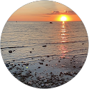 Pat Errey profile picture